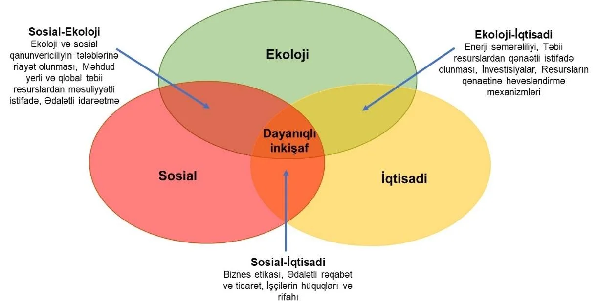 Veysəloğlu Qrupu: Dayanıqlı İnkişafın Sosial və İqtisadi Lokomotivi