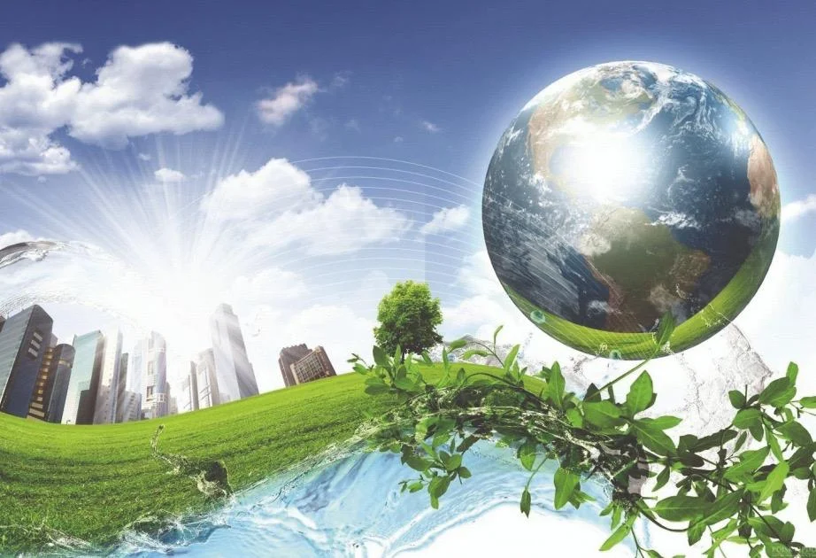 Veysəloğlu Qrupu: Dayanıqlı İnkişafın Sosial və İqtisadi Lokomotivi