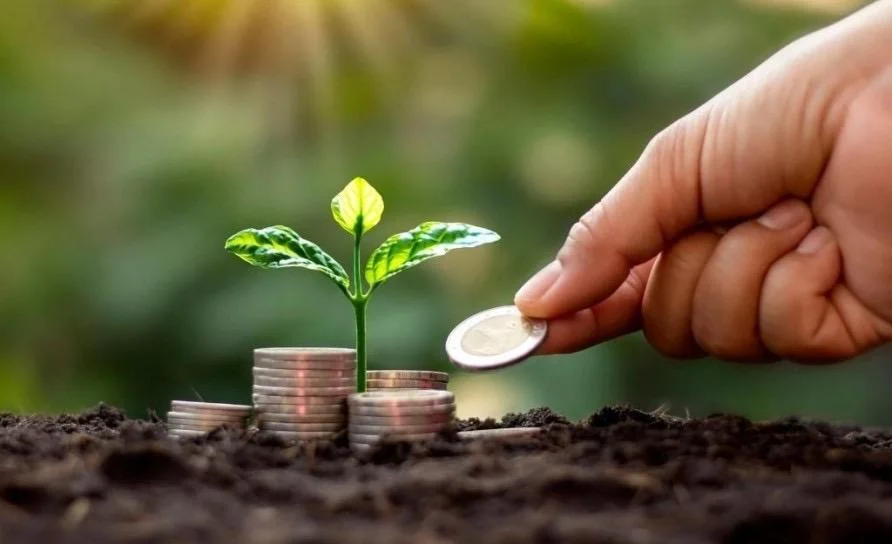 Veysəloğlu Qrupu: Dayanıqlı İnkişafın Sosial və İqtisadi Lokomotivi