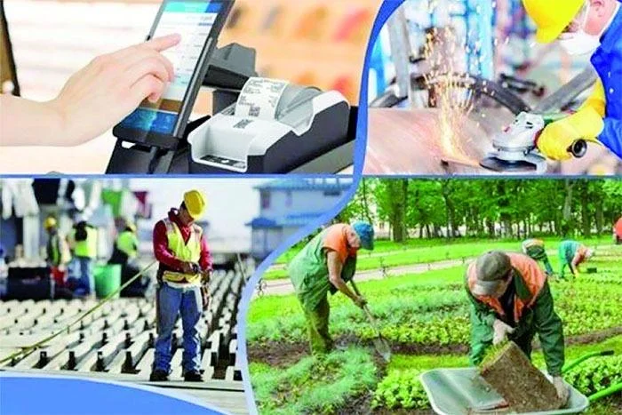 Veysəloğlu Qrupu: Dayanıqlı İnkişafın Sosial və İqtisadi Lokomotivi