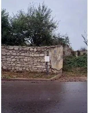 Leyla Vəzirova: “Cəllad sifətlərinə baxa bilmirəm” -SÖHBƏT