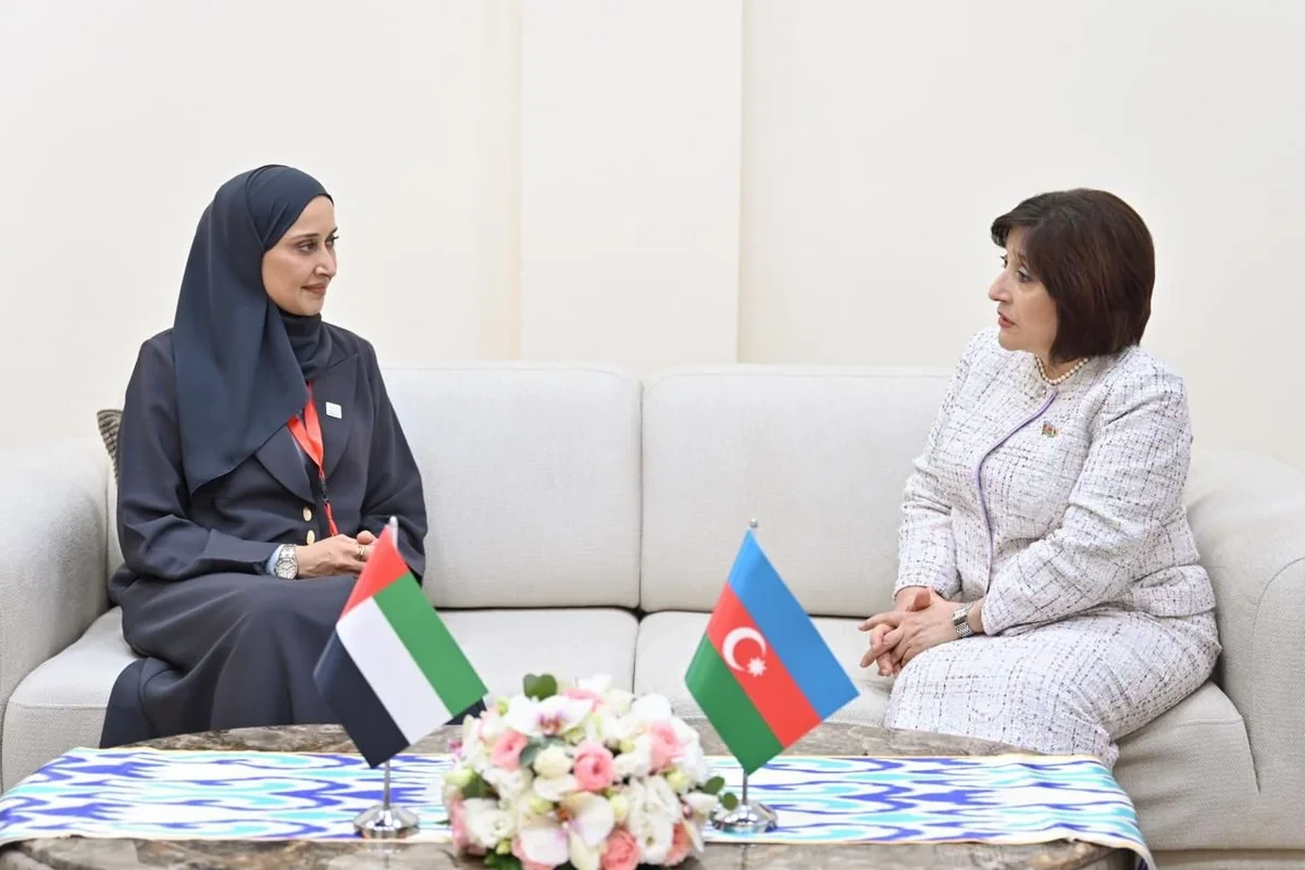 Sahibə Qafarova BƏƏ Federal Milli Şurasının sədr müavini ilə görüşüb