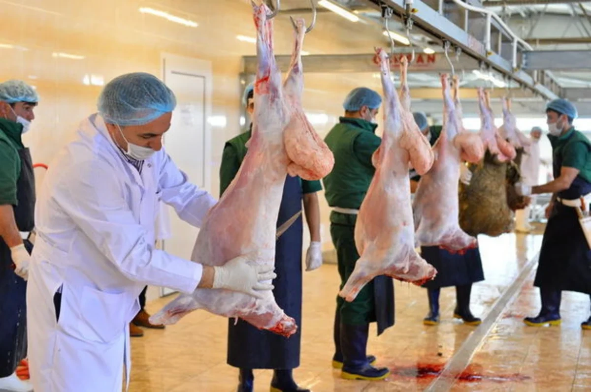 Qurban bayramı ilə bağlı təhlükəsiz heyvan kəsimi və satışına nəzarət gücləndirilib