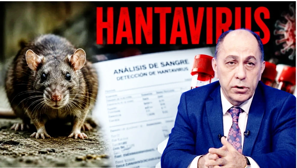 Hantavirus geniş yayılsa böyük sayda ölüm halları olacaq - Professordan XƏBƏRDARLIQ
