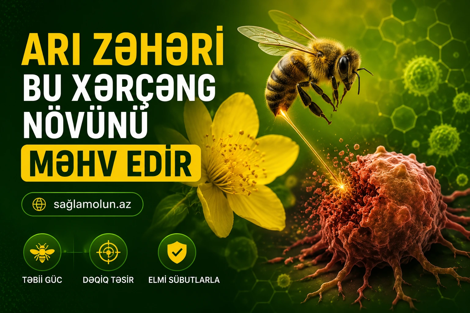 Arı zəhəri süd vəzi xərçəngini məhv edir - Yeni elmi iddia