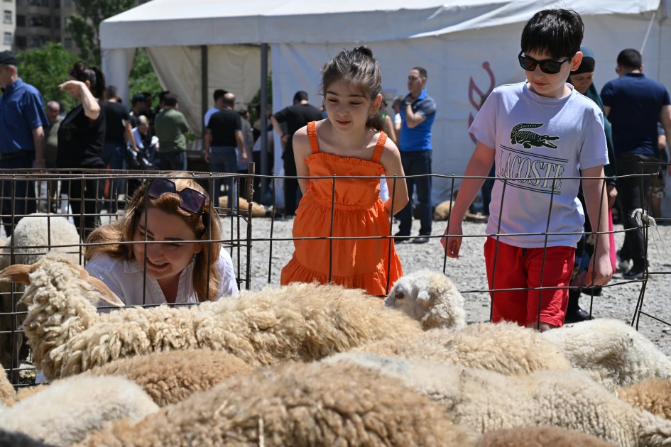 Qurban bayramı həm də həmrəyliyi və insan sevgisini gücləndirən mənəvi bir vasitədir - İlahiyyatçı