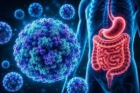 Həkim-terapevt: Novovirus qış fəslində və kütləvi toplantı yerlərində rast gəlinən virusdur