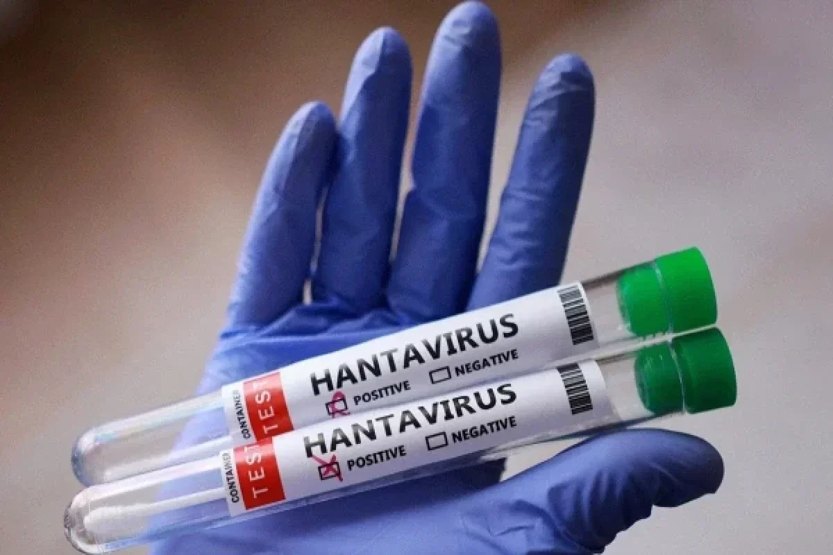 Kanadada hantavirusa yoluxma halı aşkarlandı