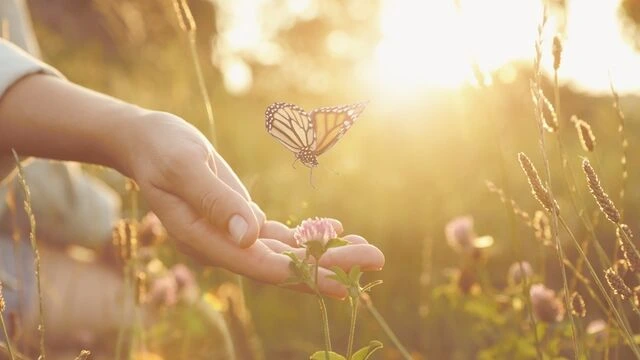 Gələcəyi düşünmək bugünü yaxşılaşdırır