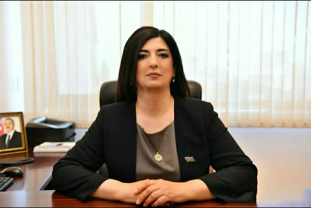 Avropa Parlamentinin qərəzli qətnaməsi: Siyasi təzyiqin növbəti təzahürü
