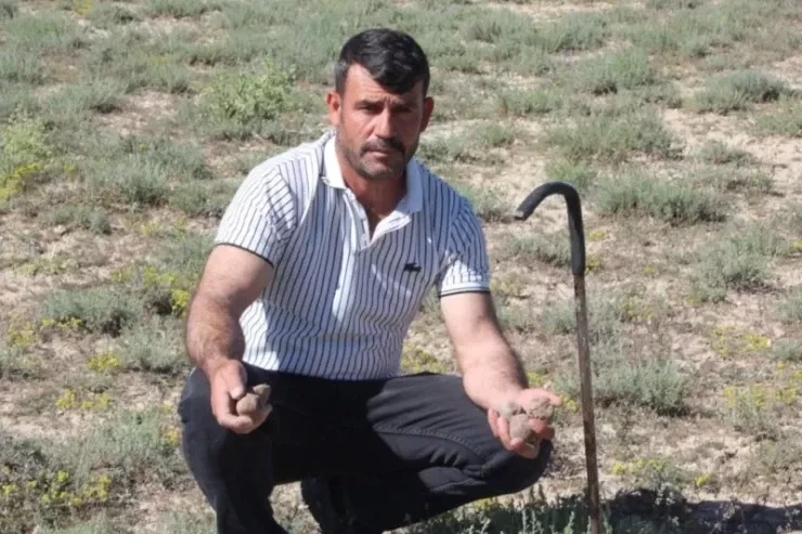 Göbələk yığaraq özünə avtomobil, ev və torpaq aldı