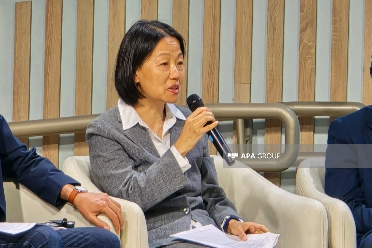ADB: Ənənəvi maliyyələşmə modelləri ada dövlətlərində işləmir