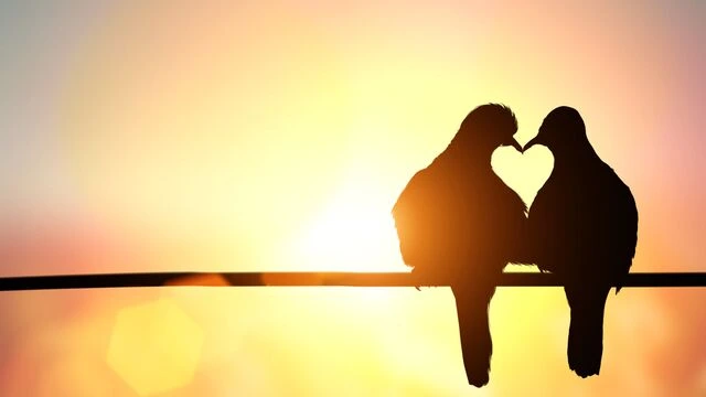 Qadınlarda istəyi qoruyan 6 gizli faktor açıqlandı