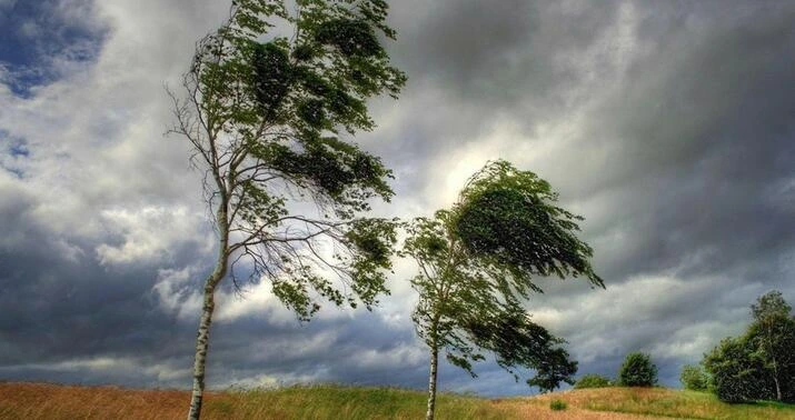 Küləkli hava ilə bağlı sarı xəbərdarlıq verilib
