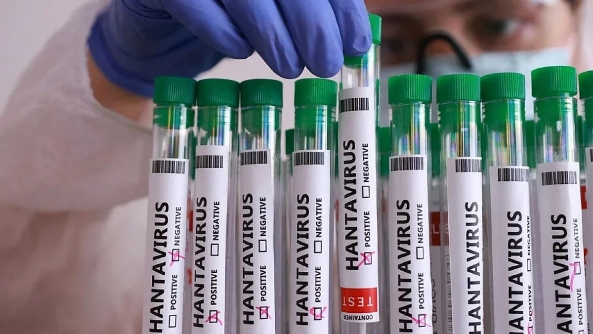 Fransada hantavirusa ilk yoluxma təsdiqləndi