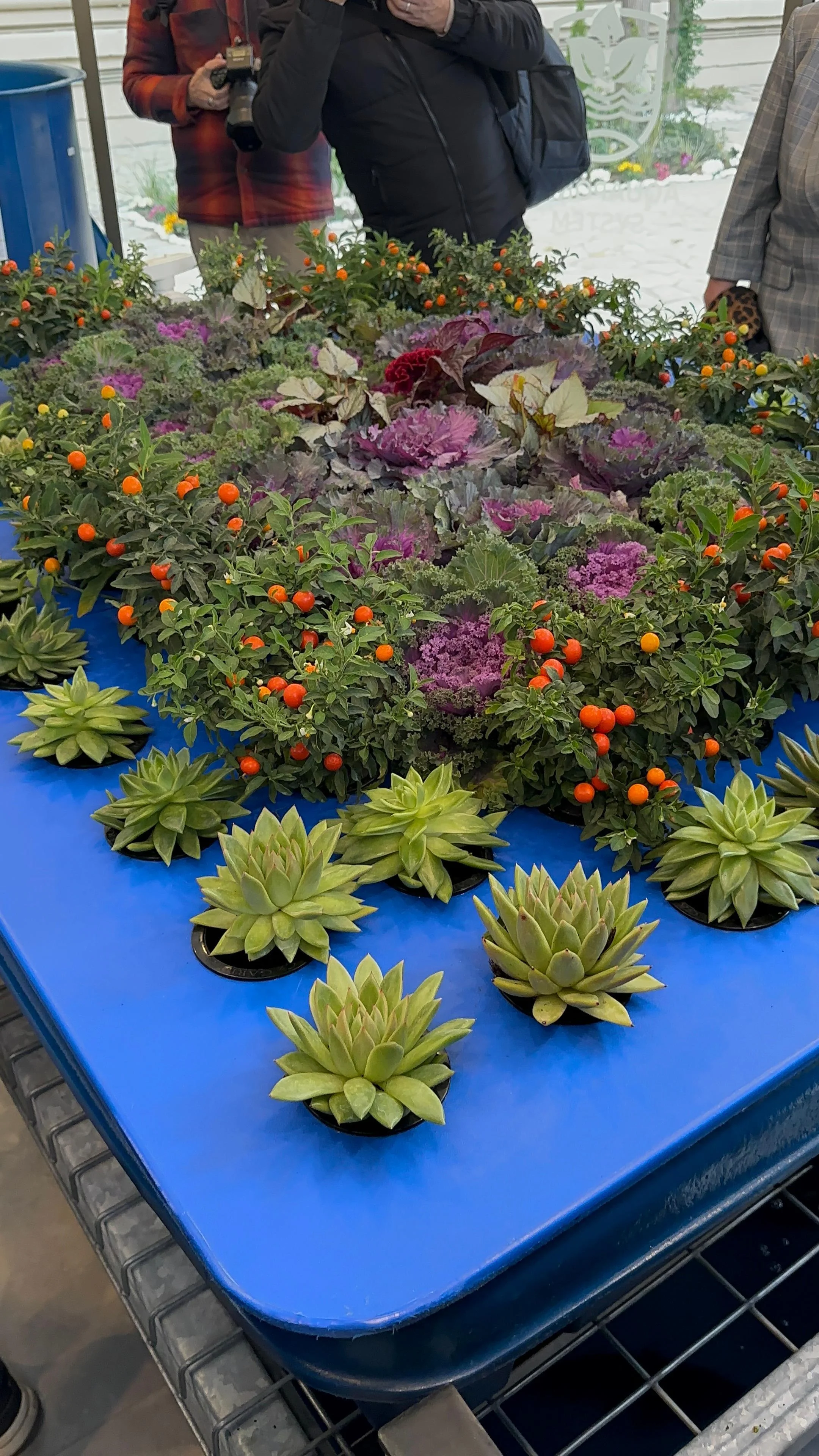 Elçin Babayev: "Eko Məkan" təkcə Bakı Dövlət Universitetinin tələbələri üçün deyil -FOTO