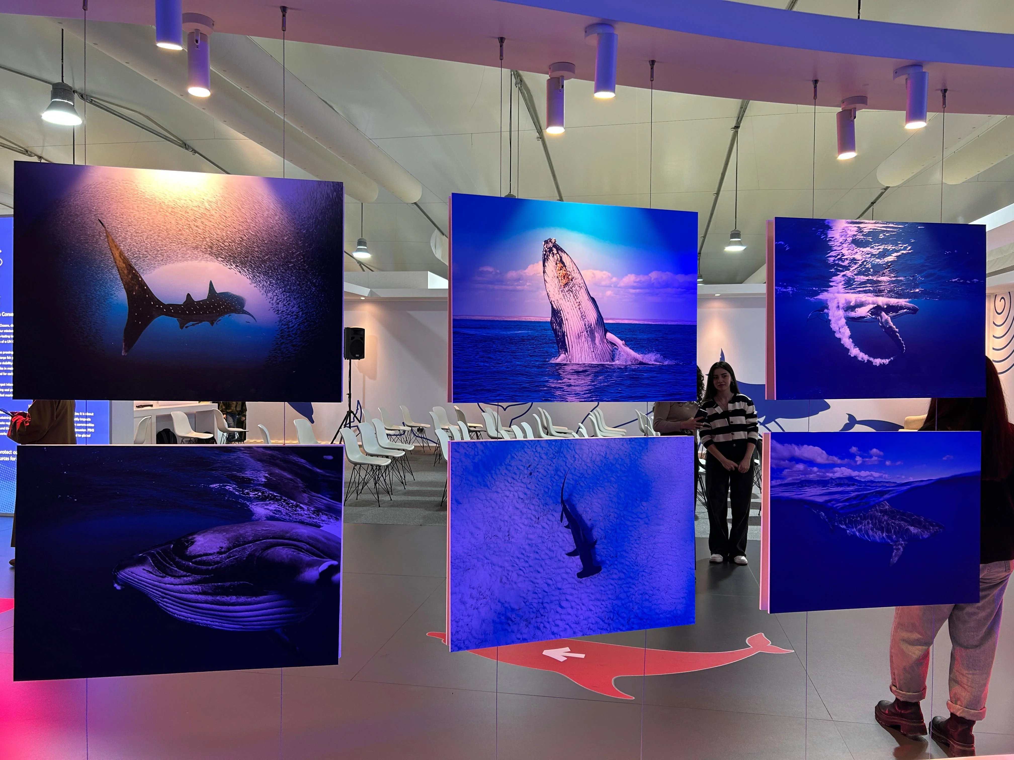 COP29-un doqquzuncu günü - "Şərq"in FOTOREPORTAJ-ı