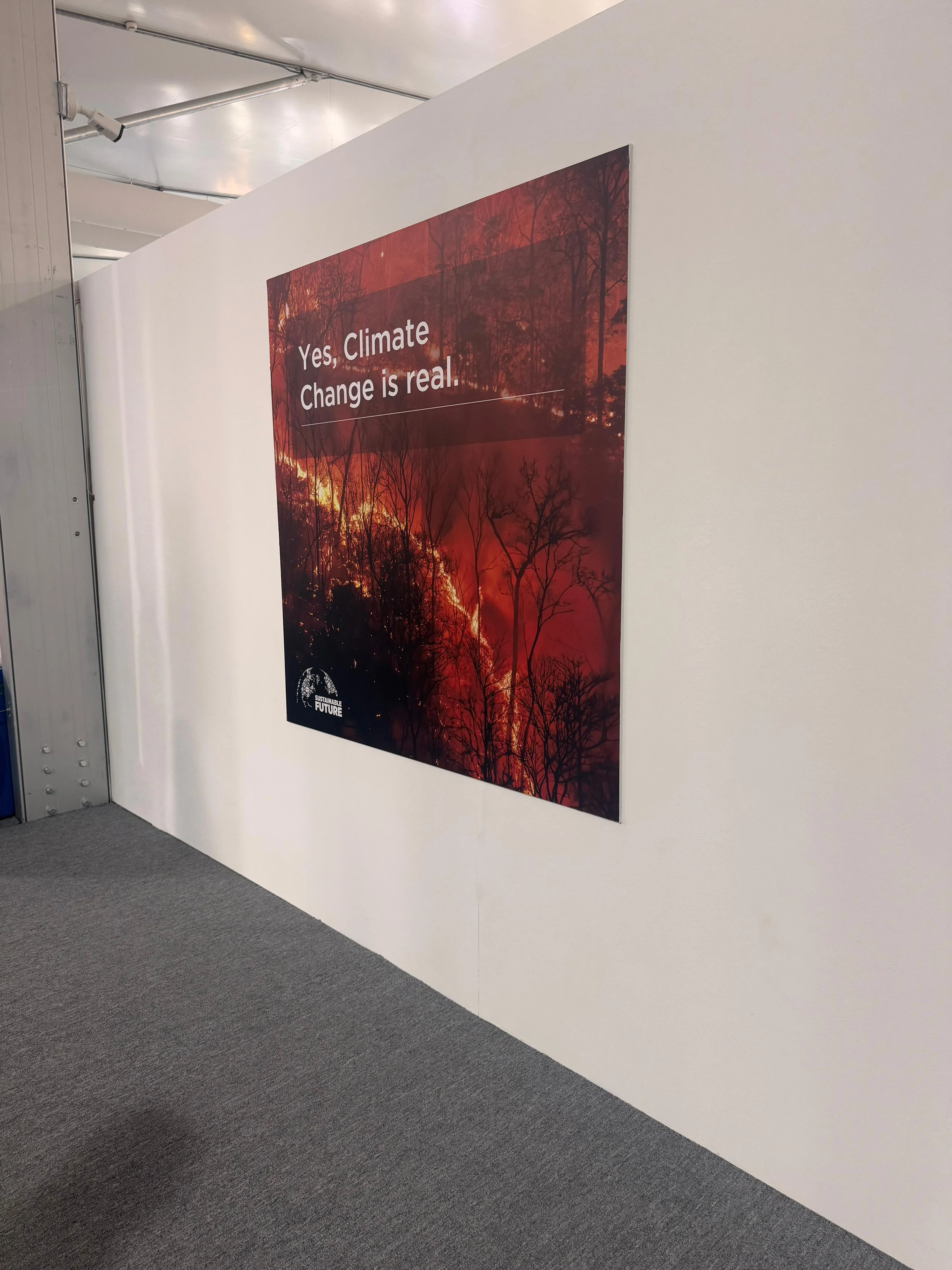 COP29-un doqquzuncu günü - "Şərq"in FOTOREPORTAJ-ı