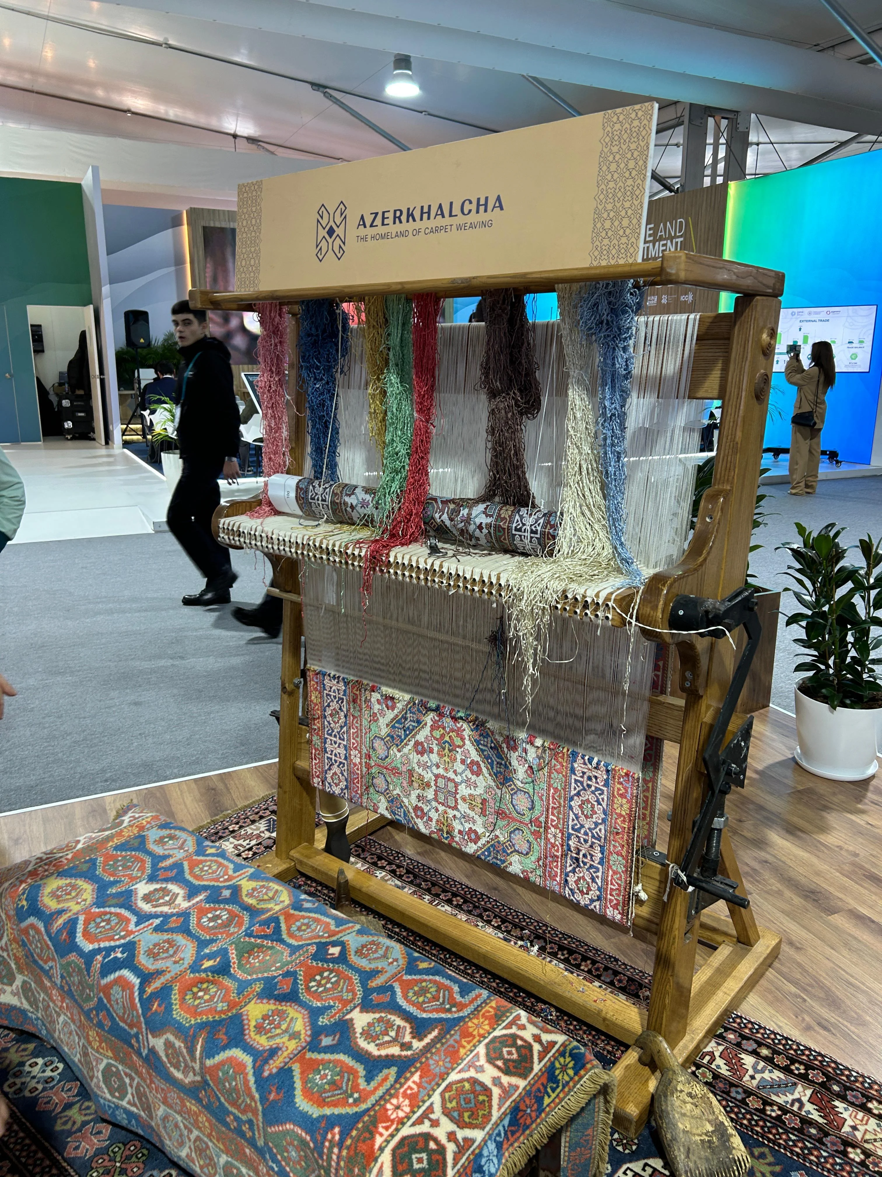 COP29-un doqquzuncu günü - "Şərq"in FOTOREPORTAJ-ı