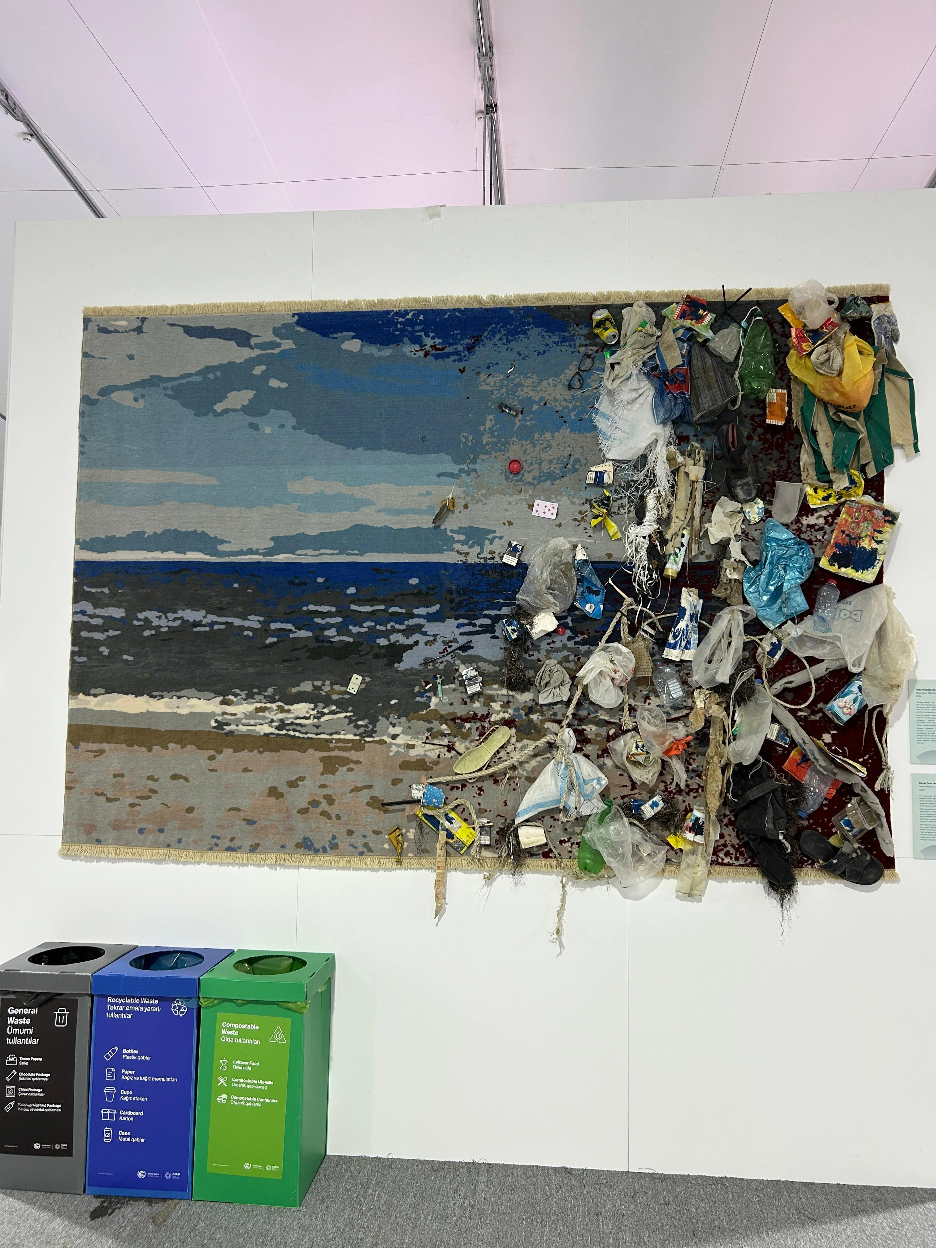 COP29-un doqquzuncu günü - "Şərq"in FOTOREPORTAJ-ı