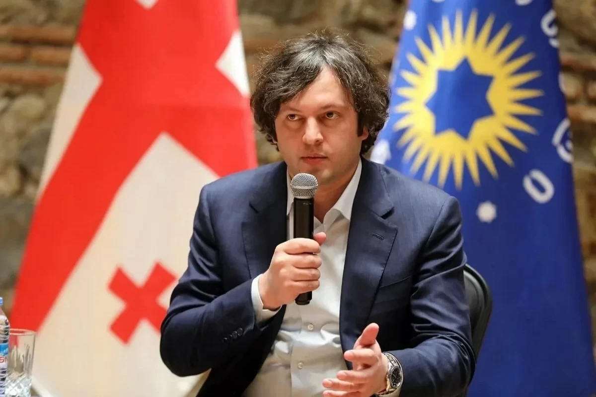 Kobaxidze: ABŞ-dən Gürcüstana münasibətdə passivlik görürük