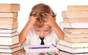 Əlavə dərs vəsaitləri: dərin bilik yoxsa qazanc mənbəyi?