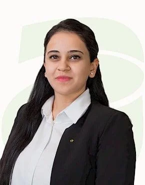 Qərb Gürcüstanı vətəndaş qarşıdurmasına aparır -Analiz