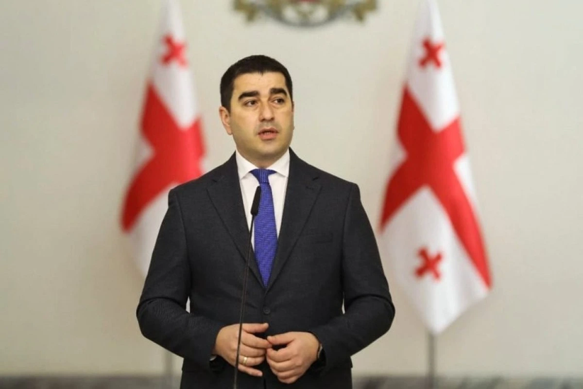 Papuaşvili: Brüssel Gürcüstanla dialoq əvəzinə boykota üstünlük verir
