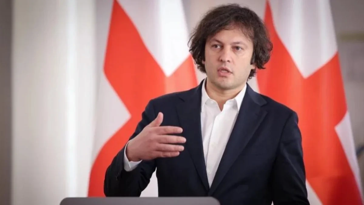 Kobaxidze Orta Dəhlizin mühüm nəqliyyat marşrutu kimi rolunu vurğulayıb