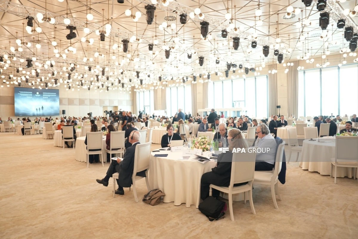 İtkin düşmüş şəxslər üzrə Bakı Dialoqu çərçivəsində IV Beynəlxalq Konfransın yekun bəyannaməsi qəbul edilib