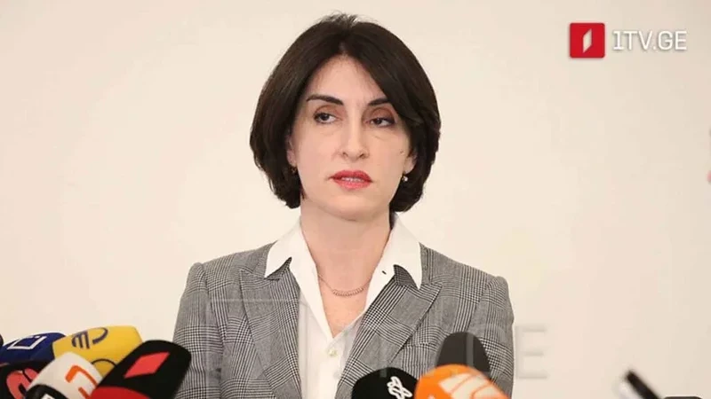 Maka Boçorişvili: Gürcüstan TRIPP layihəsi çərçivəsindəki mühüm rol oynayır