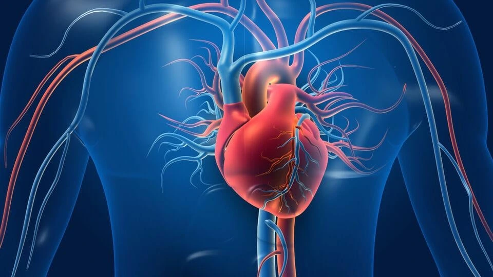 Türkiyədə infarkt Avropaya nisbətən 10 il daha erkən baş verir
