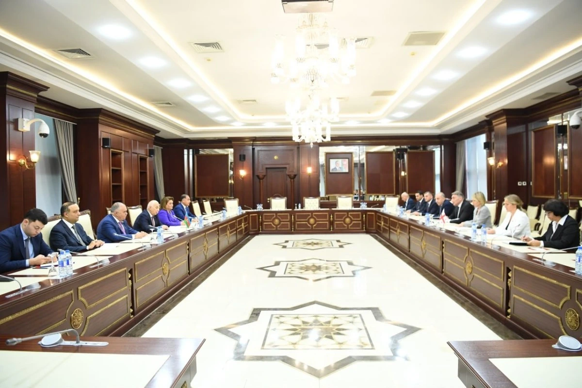 Prezidentin qanunu imzalamadan Milli Məclisə geri qaytarmasına aydınlıq gətirilib