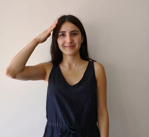 Asanlıqla öyrənə biləcəyiniz işarə dili sözləri