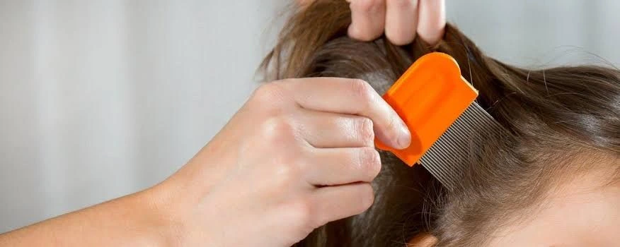 Dünyanı “super bit” basacaq – Başınızı qoruyun