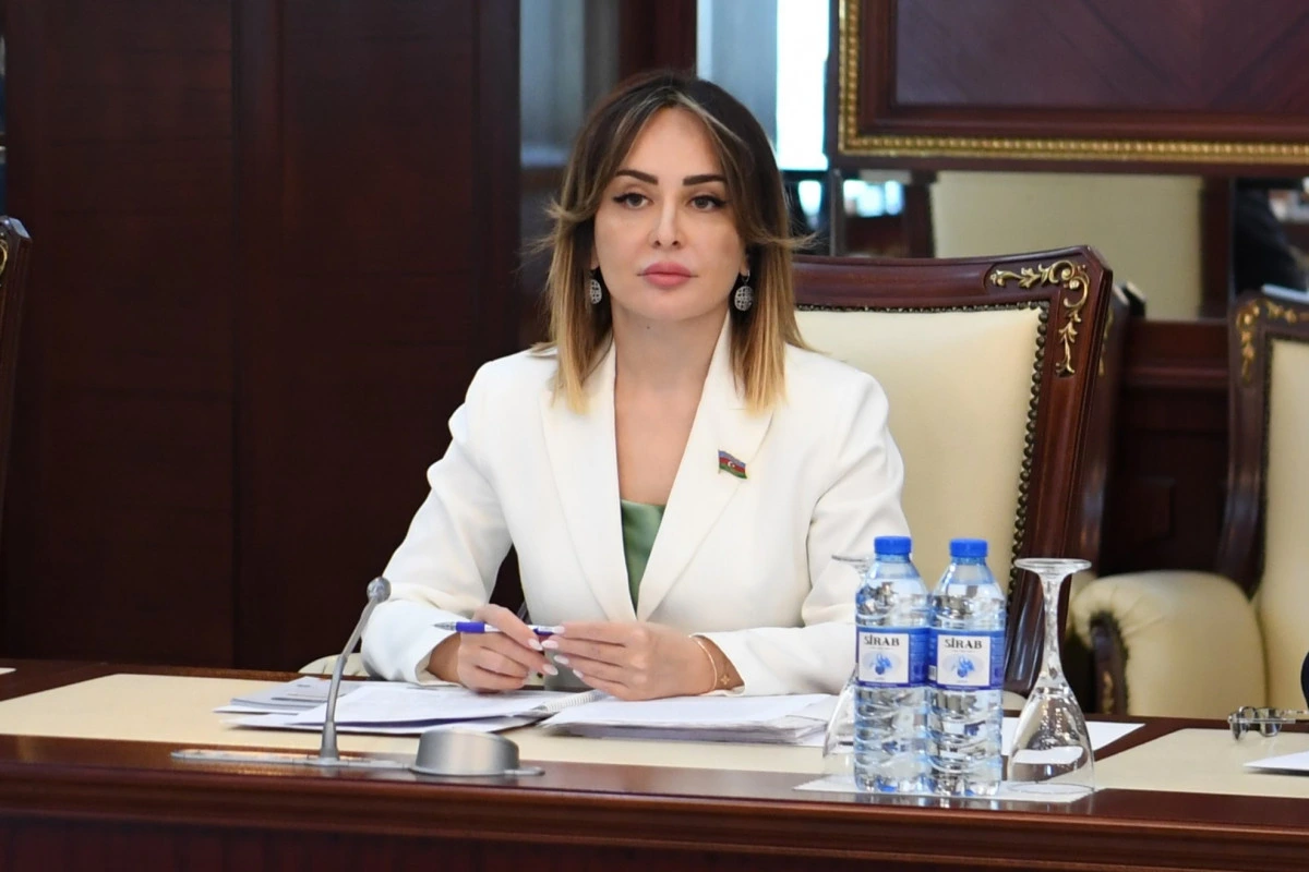 Nigar Məmmədova: “Bərpaolunan enerjinin inkişafı Azərbaycanın investisiya imkanlarını artırır”