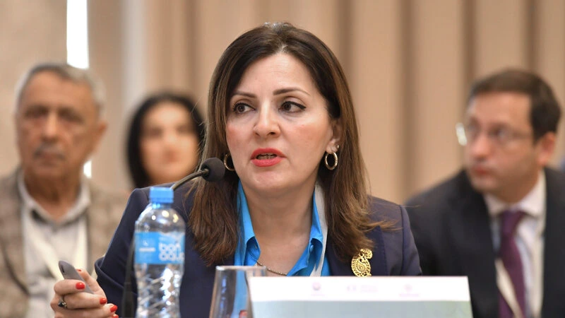 Qarabağ və Şərqi Zəngəzurda 130 abidənin inventarlaşdırılması tamamlanmayıb