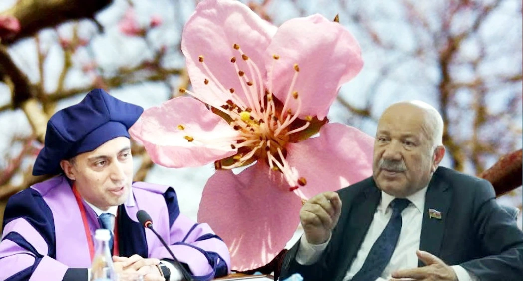 Səyyad müəllim, bir az da səbr edin, şaftalı çiçək açanda Emin Əmrullayevi taparsız - Təklif