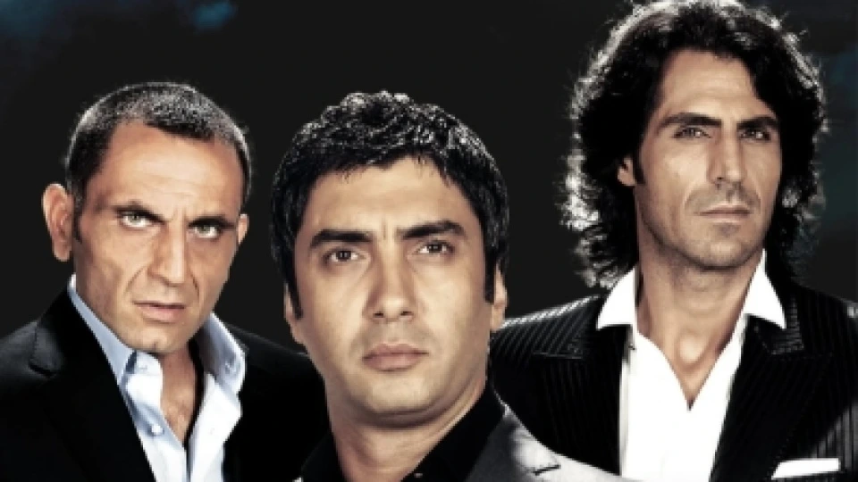 “Kurtlar Vadisi” serialı ilə bağlı araşdırma aparılacaq