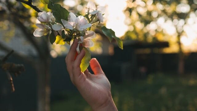 Hər şeyə çatdırırsan… Özünə isə gecikirsən