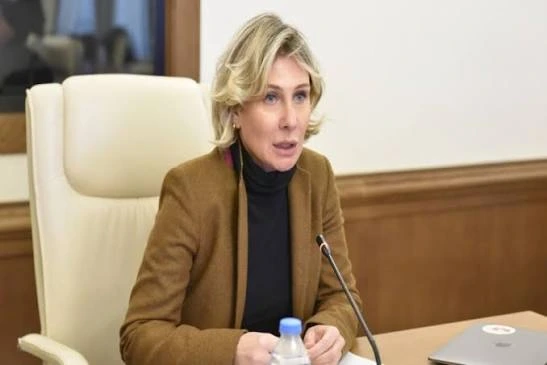 Vitse-spiker: Azərbaycanın siyasi dəstəyi Gürcüstan üçün həyati əhəmiyyət kəsb edir