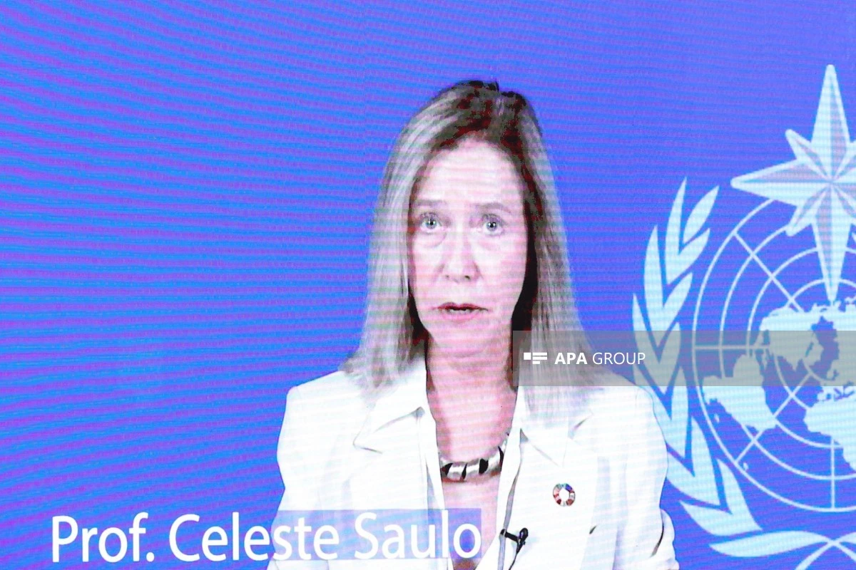 Celeste Saulo: Süni intellekt buzlaqların monitorinqində mühüm rol oynaya bilər
